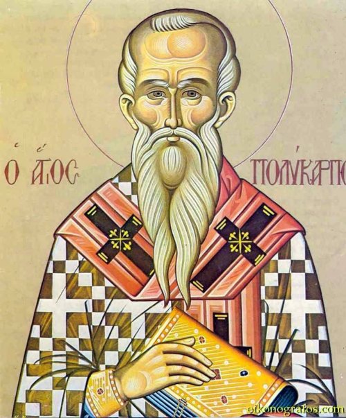 Sf. Sfinţit Mc. Policarp, Episcopul Smirnei; Sf. Cuv. Gorgonia