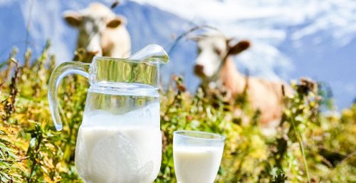 Mai mult lapte de vacă în fermele românești