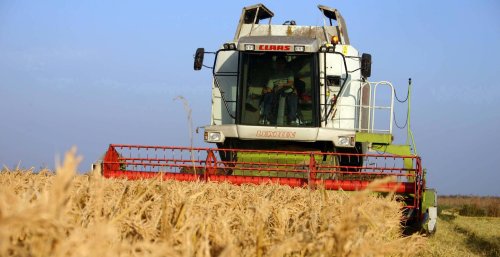 România, una dintre marile puteri cerealiere