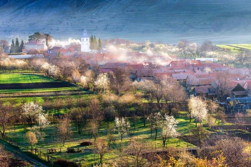 Satul românesc se reinventează la condițiile istorice