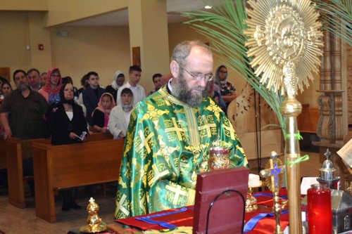 Misiune ortodoxă românească în Houston 