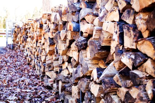 TVA la lemnul de foc ar putea scădea la 5%