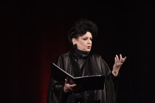 Cursuri de canto cu soprana Mariana Nicolesco