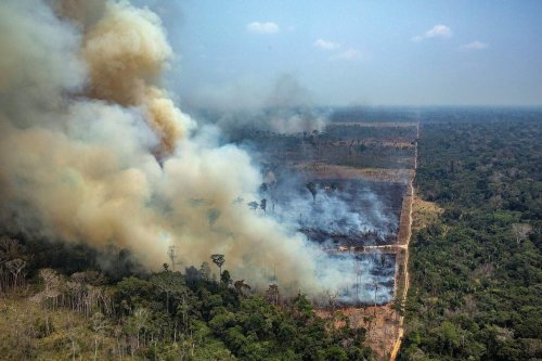 Pact pentru salvarea pădurii amazoniene
