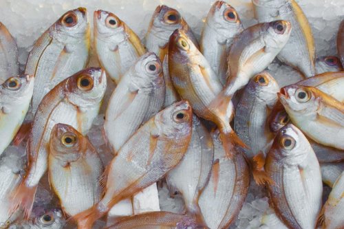 Tone de peşte retrase de la comercializare