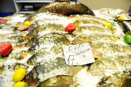 Un ghid pentru vânzarea peştelui ar încuraja piaţa autohtonă