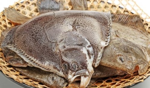 A fost majorată cota de pescuit la calcan pentru România în 2020