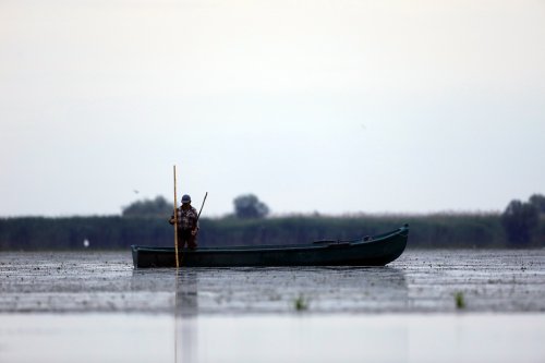 Aproape 90.000 de permise de pescuit în Deltă