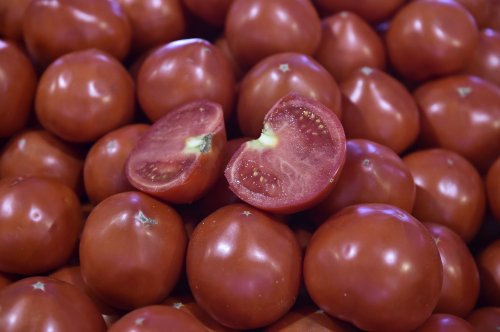 Aproape 40 de milioane de euro pentru cultivarea tomatelor