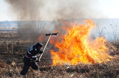 Pompierii fac apel la populaţie să nu mai incendieze vegetația