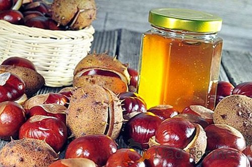 Mierea de castan, o sursă de substanțe nutritive necesare organismului