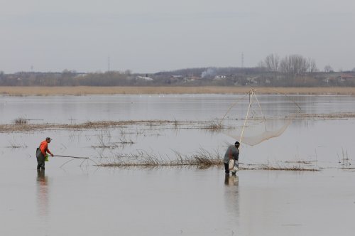 Pescuitul în apele de frontieră, interzis până în iunie