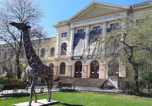 Muzeul Antipa s-a redeschis