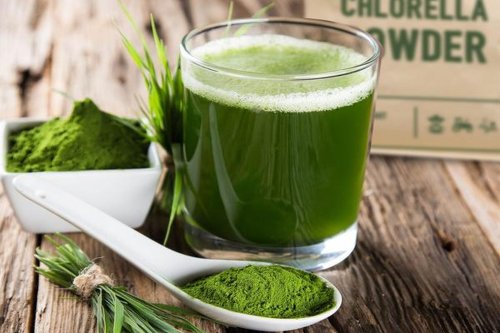 Algele verzi acționează benefic asupra sistemului imunitar