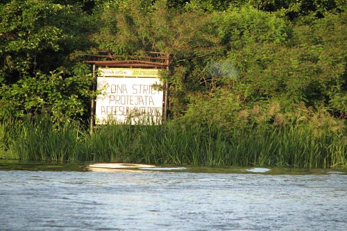 Sunt turiști care pun în pericol speciile protejate din Deltă