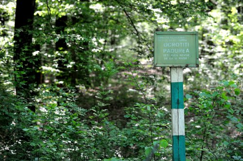 Memorandum pentru Parcul Natural Codrii Iaşilor