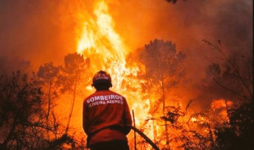 Incendiatori arestați  în Portugalia