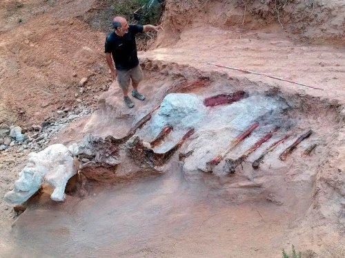 Descoperire importantă  a paleontologilor portughezi