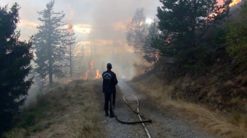 Dublare a incendiilor  de vegetație în Harghita