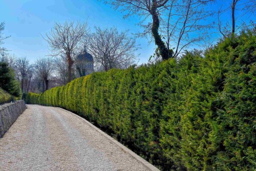 Parcul „Grădina Maicii Domnului” al Reşedinţei Patriarhale la început de primăvară 