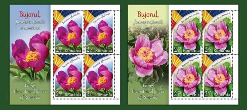 Emisiune de timbre dedicate florii naționale