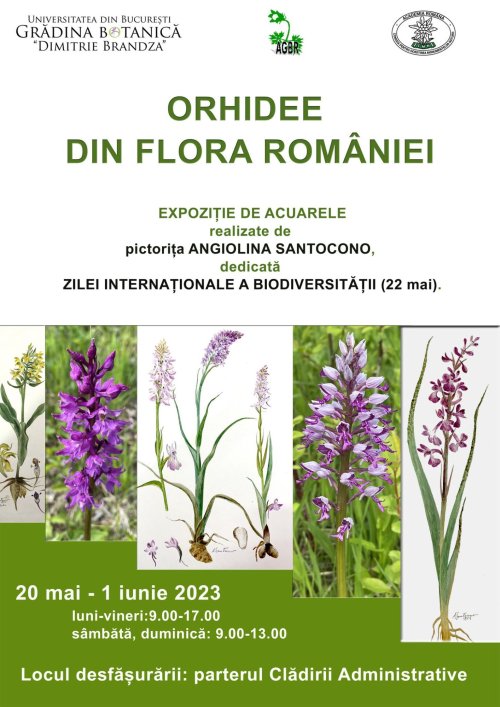 Expoziţie de acuarele cu orhidee la Grădina Botanică din Bucureşti