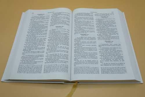 Specific şi expresie uzuală în lirica Sfintei Scripturi