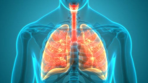 Factori de risc în apariţia cancerului pulmonar