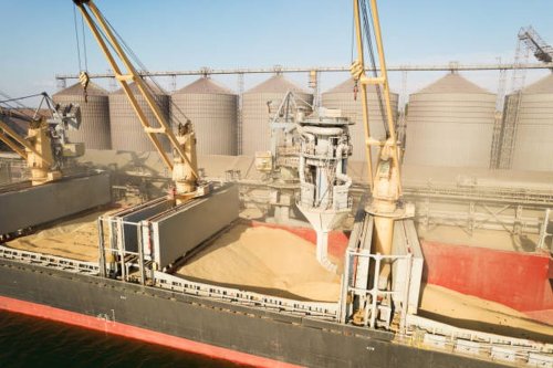 România exportă grâu către Algeria
