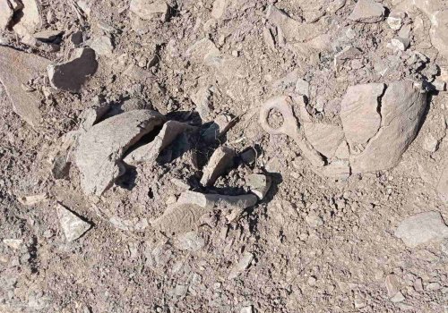 Descoperire arheologică în Harghita