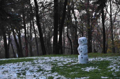 O iarnă cu temperaturi mai mari decât ar fi normal