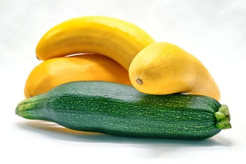 Dovleceii zucchini, ușor de integrat în numeroase preparate