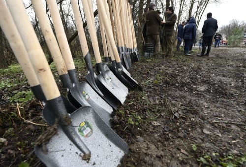 Campanie de împăduriri de toamnă