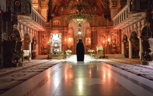 Biserica și câinii