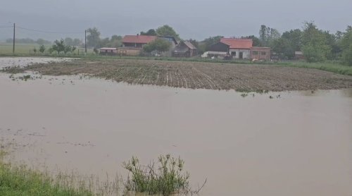 Râuri cu depăşiri ale cotelor de pericol, inundaţie şi atenţie