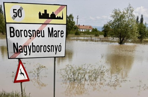 Agricultorii inundați din Covasna vor fi despăgubiți