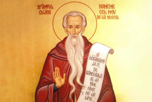 †) Sf. Cuv. Ioanichie cel Nou de la Muscel; Sf. Sfinţit Mc. Ermolae; Sf. Mc. Paraschevi din Roma