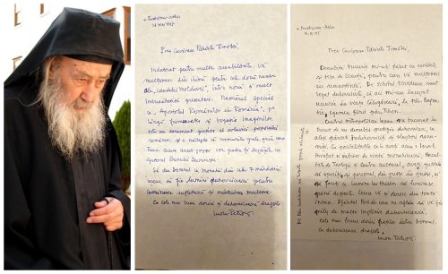 Cuviosul Petroniu de la Prodromu, într-o anamneză de lumină lină