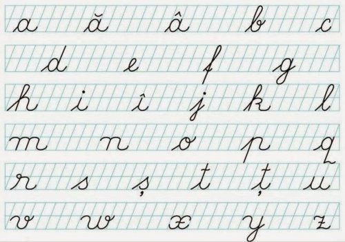 Cum salvăm limba română?