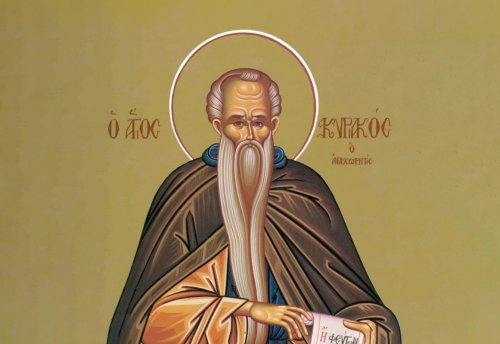 Sf. Cuv. Chiriac Sihastrul; Sf. Mc. Petronia