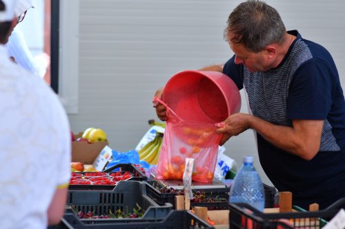 Fermierii, obligaţi să utilizeze sistemul RO e-Factura