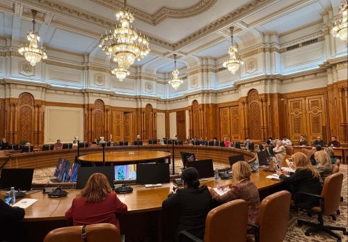 Apeluri ale victimelor violenţei domestice