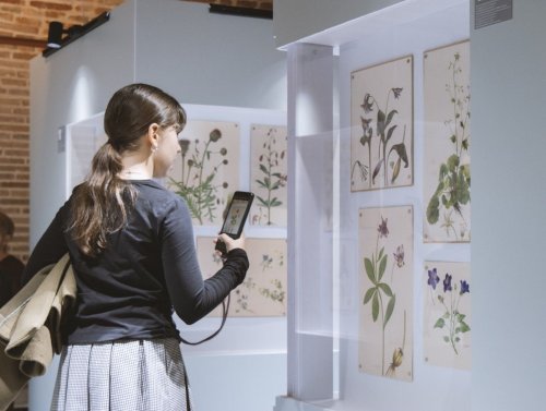 Regele Ferdinand și regina Maria în lumini și umbre