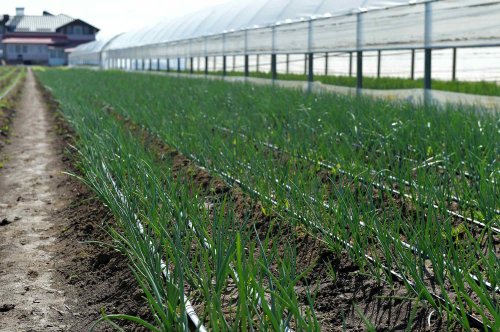 Ministerul anunță sesiunile de finanţare din următoarele 3 luni