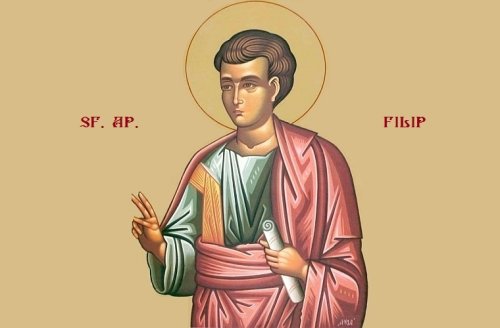 Sf. Ap. Filip, unul dintre cei 12 Apostoli;  Sf. Ier. Grigorie Palama, Arhiepiscopul Tesalonicului  (Începutul Postului Naşterii Domnului)