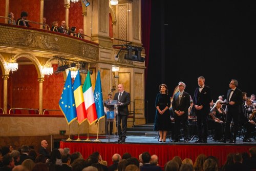 Anul Cultural România-Italia