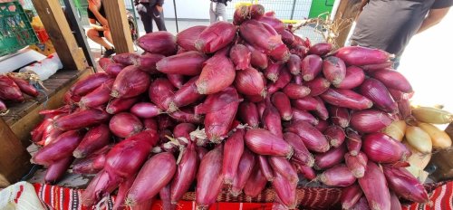 Premii pentru soiuri create la BRGV Buzău