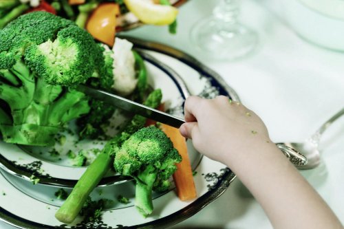 Plantele, surse de fibre şi de compuși cu efecte antimicrobiene, antioxidante și antiinflamatorii