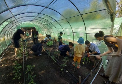 Inițiativă privind dezvoltarea grădinilor comunitare