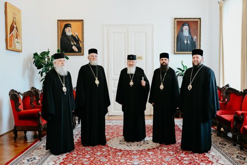 Şedinţă de lucru a Sinodului Mitropoliei Clujului, Maramureșului şi Sălajului